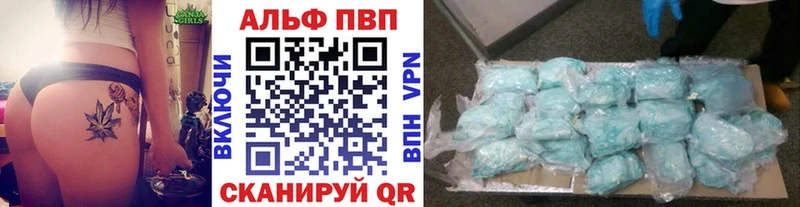 shop как зайти  Багратионовск  Альфа ПВП СК КРИС 