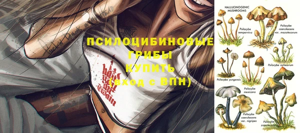 мяу мяу мука Осташков