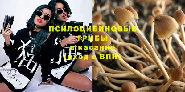бутират Аркадак