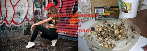 кокс Арсеньев