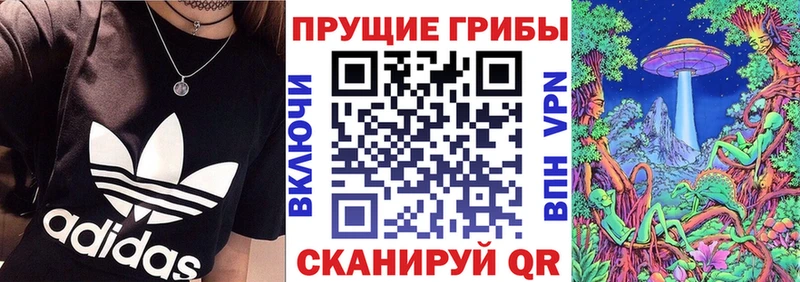 купить  сайты  Багратионовск  OMG   Псилоцибиновые грибы Magic Shrooms 